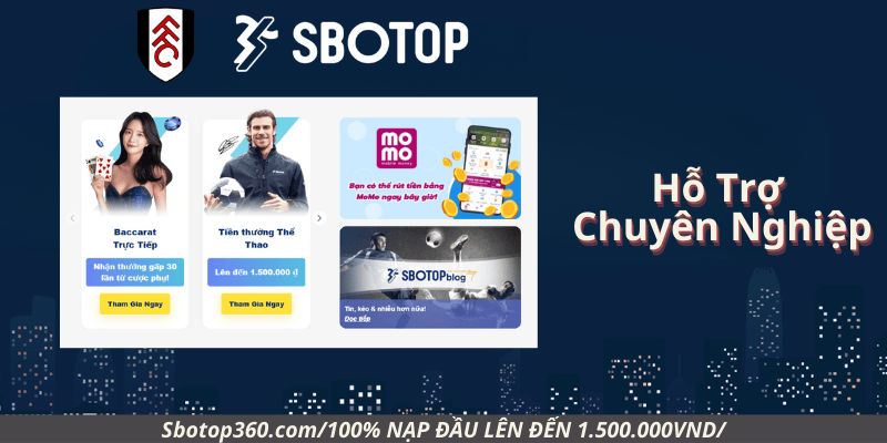 Hỗ Trợ Chuyên Nghiệp