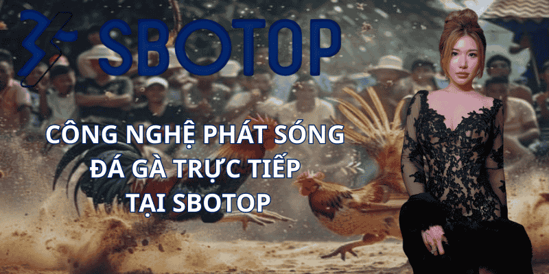 Công Nghệ Phát Sóng Đá Gà Trực Tiếp Tại Sbotop