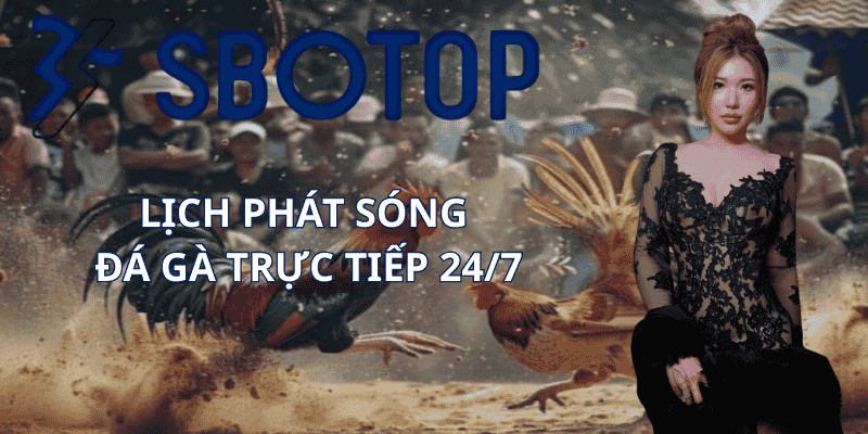Lịch Phát Sóng Đá Gà Trực Tiếp 24/7