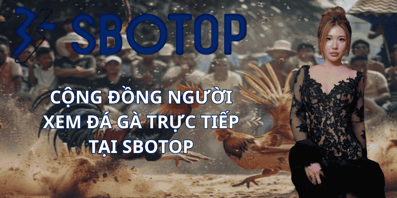Cộng Đồng Người Xem Đá Gà Trực Tiếp Tại Sbotop